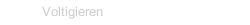 Voltigieren
