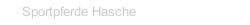 Sportpferde Hasche