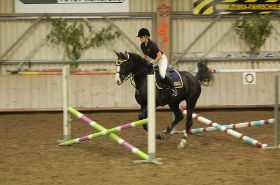 100_0334.JPG