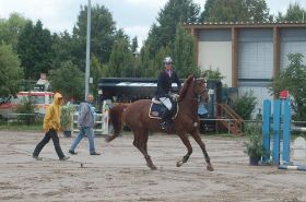 DSC_1034.JPG